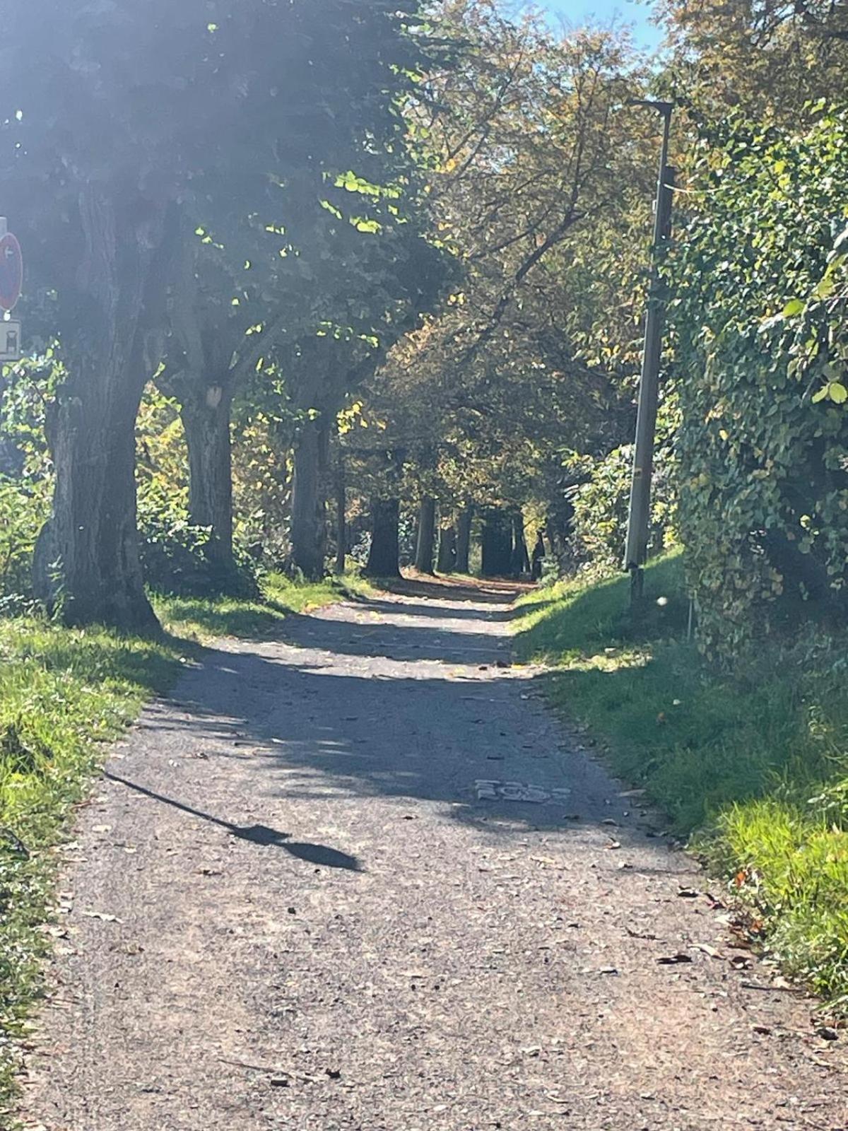 Lindenallee 20 *